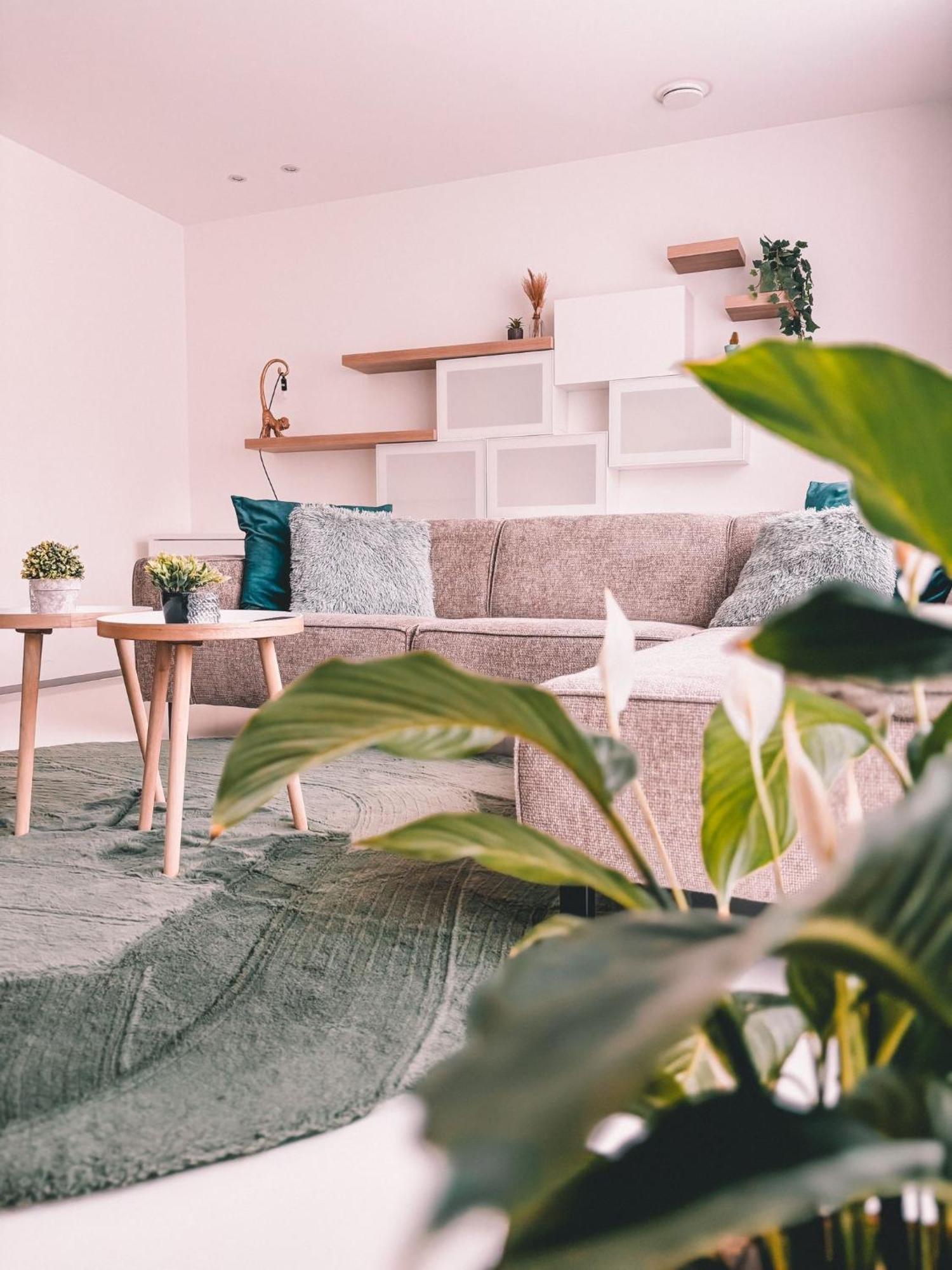 Luxe D'O Daire Oostende Dış mekan fotoğraf